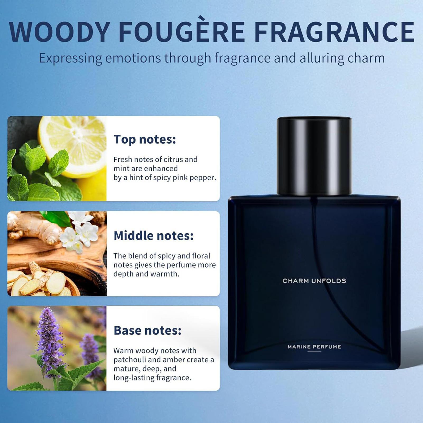 メンズフレグランス EDTスプレー ナチュラル 長持ち 50 - Perfume Fragrance Hair Spray のレビューと価格